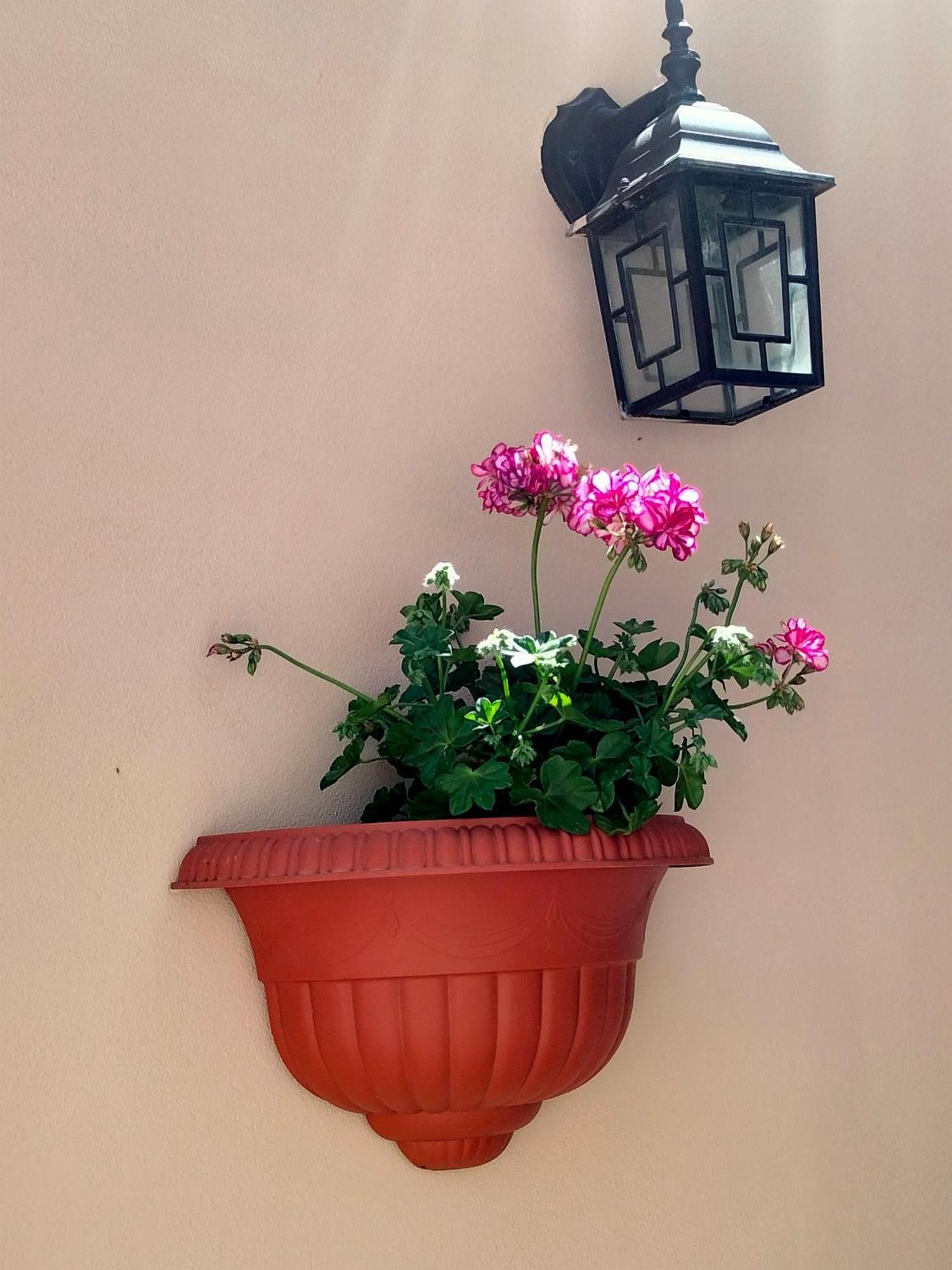 La Castellina 23 Holiday home *